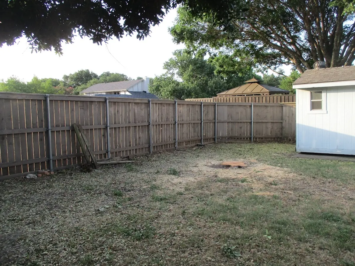 Cleared yard after professional tree removal in Saint Helens